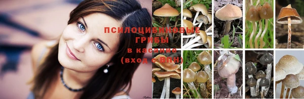ECSTASY Алексеевка