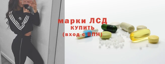 spice Алексин
