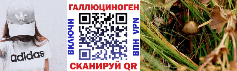 Псилоцибиновые грибы MAGIC MUSHROOMS Ревда
