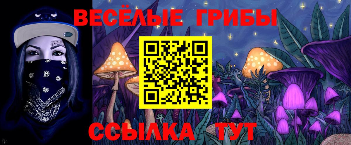 Ревда  Псилоцибиновые грибы мухоморы  Псилоцибиновые грибы Psilocybine cubensis  Вход с VPN 